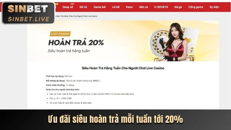 Chương trình hoàn trả tiền cược 1xbetvi